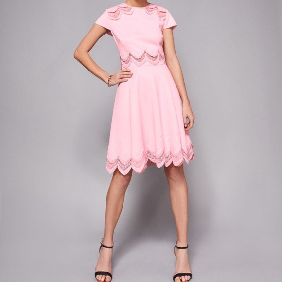 Ted Baker Pink Embroidered Skater Dress- WORN 1x! - Picture 3 of 8